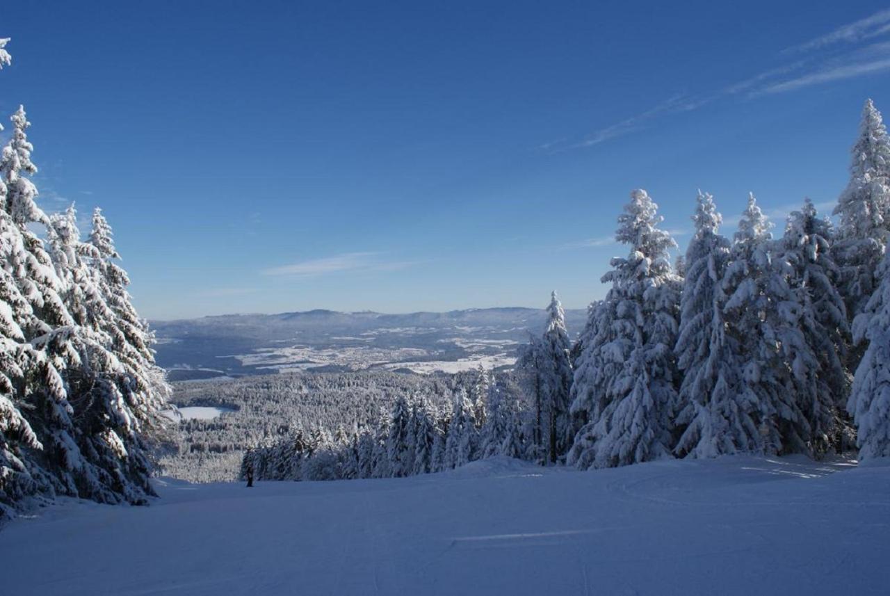 Gasthof Alte Post Bischofsmais Bagian luar foto